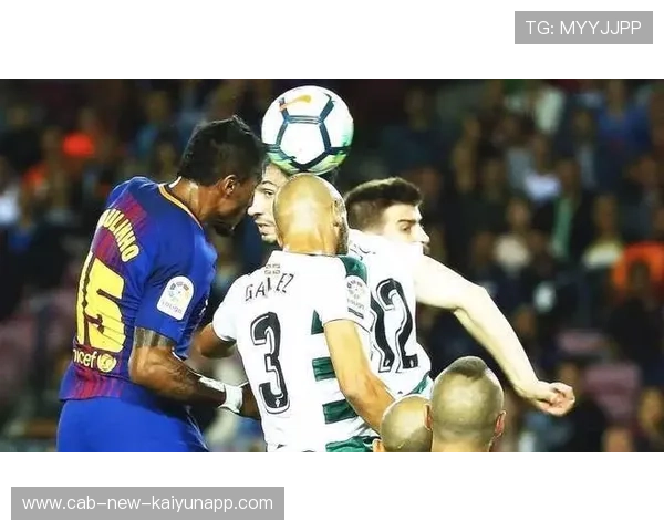 举重安全防护升级，训练事故显著下降